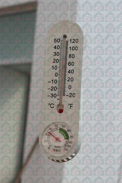 lowcarbonday.com